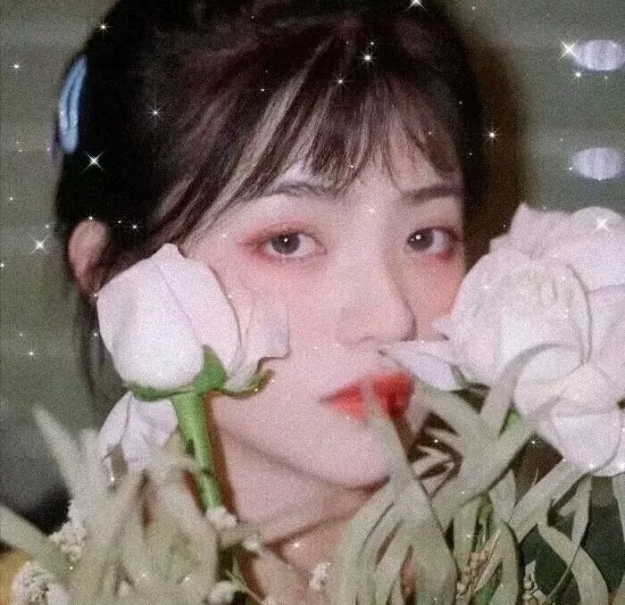 九彩霸王花1993国语