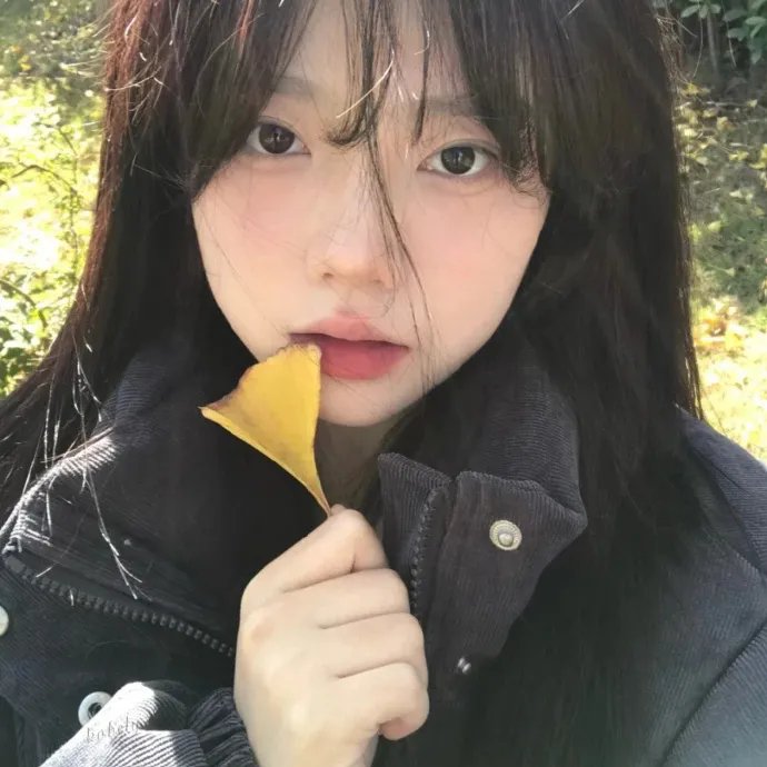 来处是归途